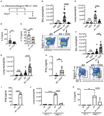 Cyclic-di-GMP Induces STING-Dependent ILC2 to ILC1 Shift During Innate Type 2 Lung Inflammation